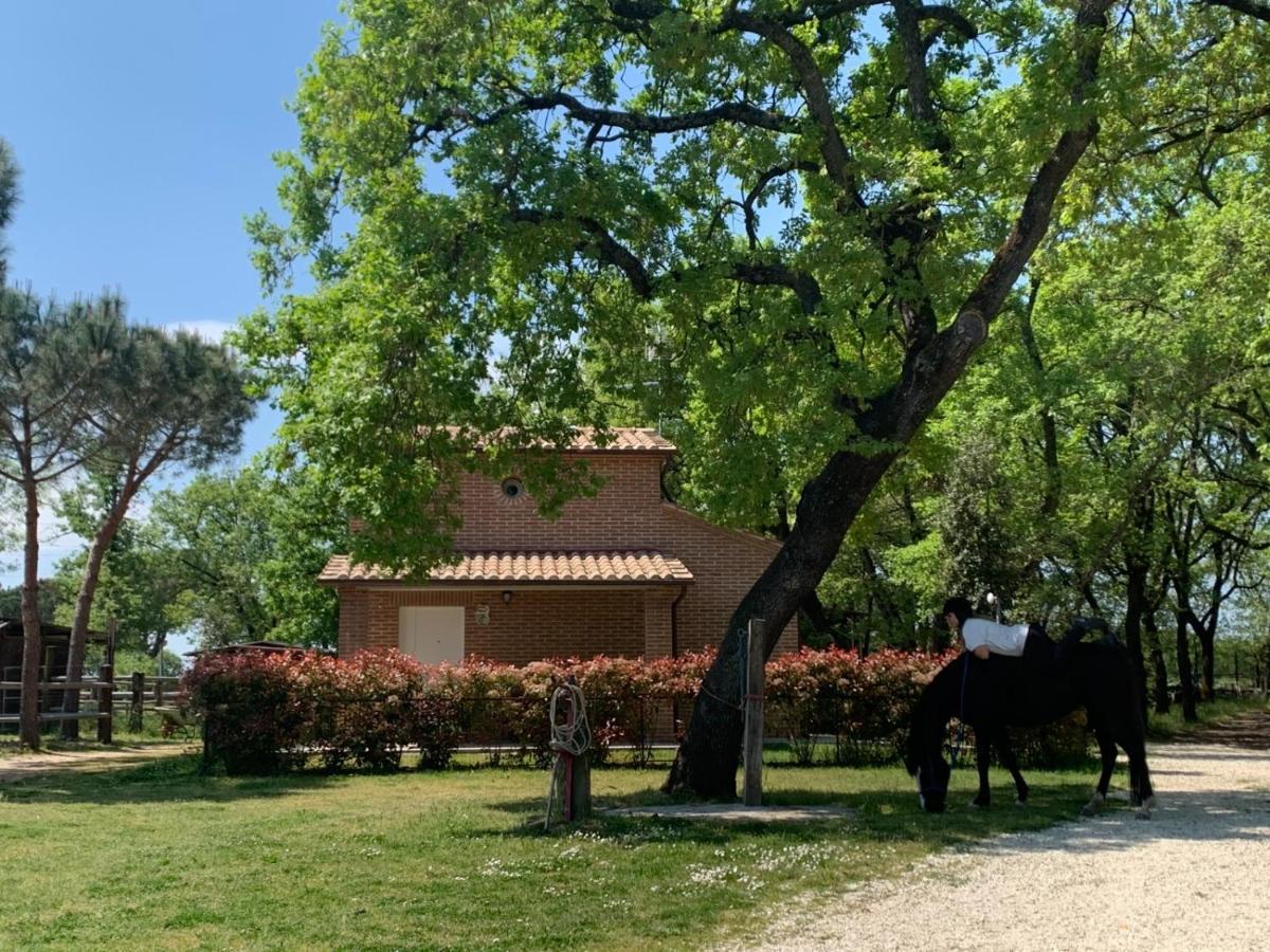 Casina Miriano Castiglione del Lago Exterior foto