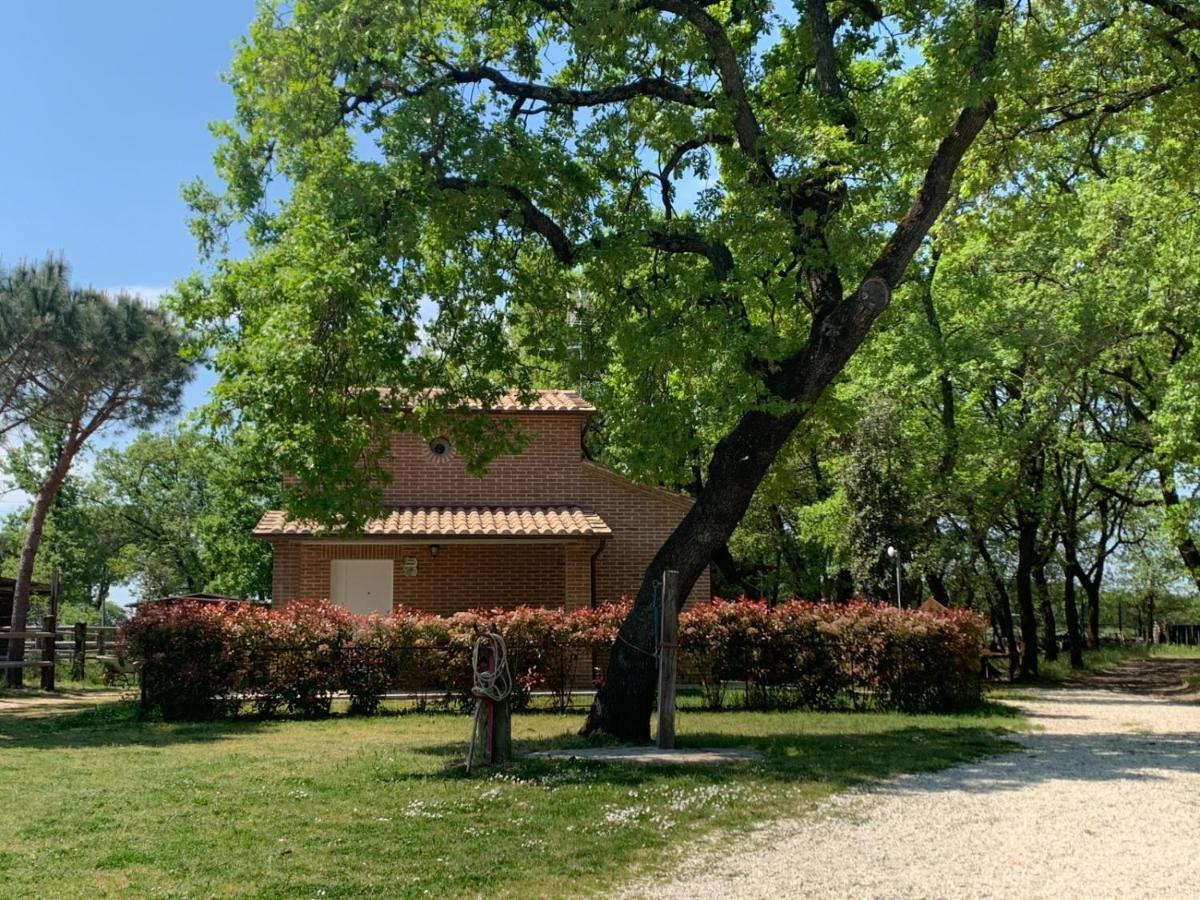 Casina Miriano Castiglione del Lago Exterior foto